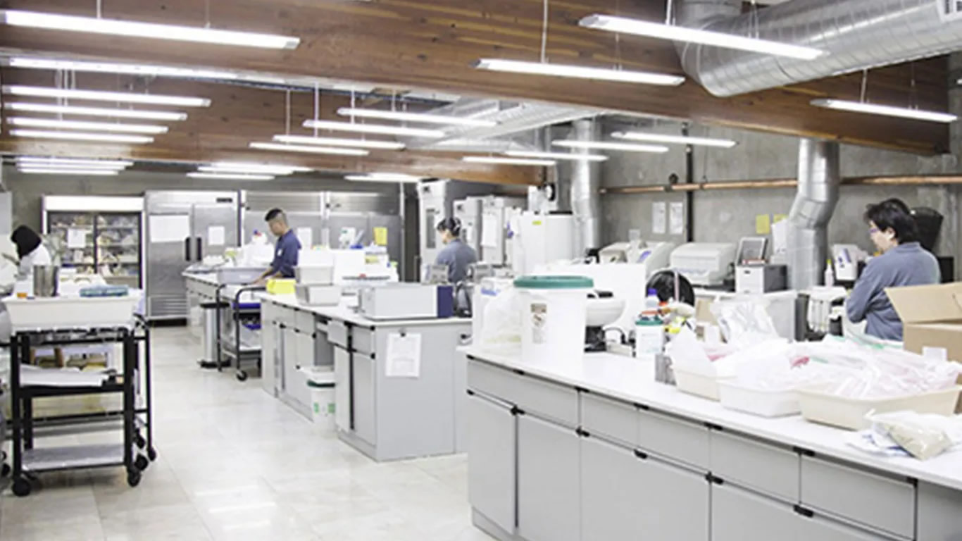 Glyphosate Testing in Food Glyphosate Testing in Food