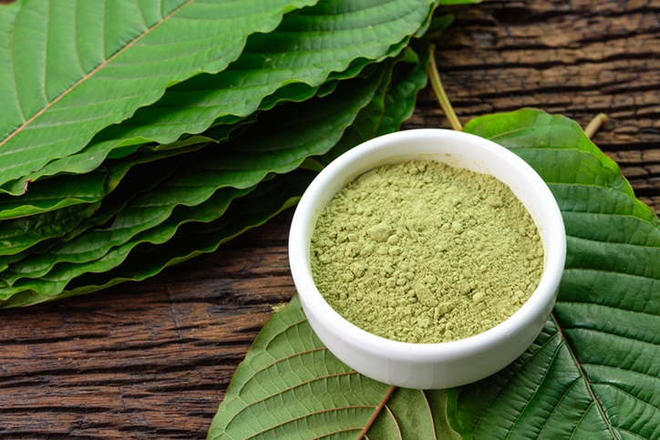 Mitragynina speciosa or Kratom leaves with powder product in white ceramic bowl and wooden table background